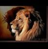 williamwilso221